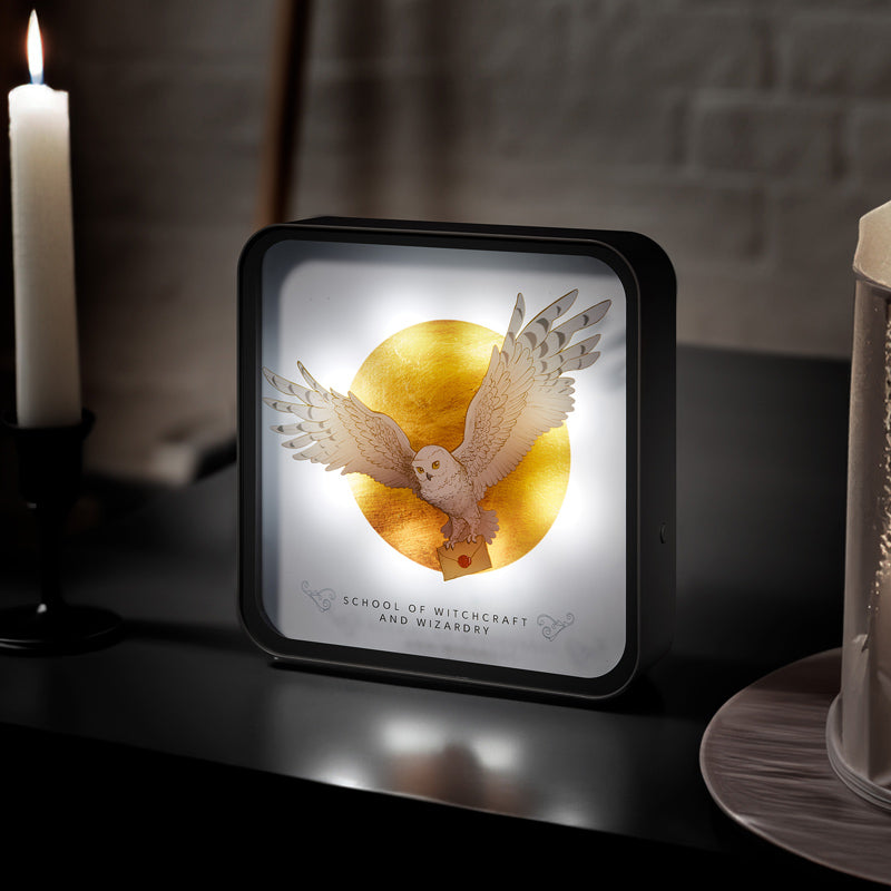 numskull-harry-potter-hedwig-lampe-perspex image 1
