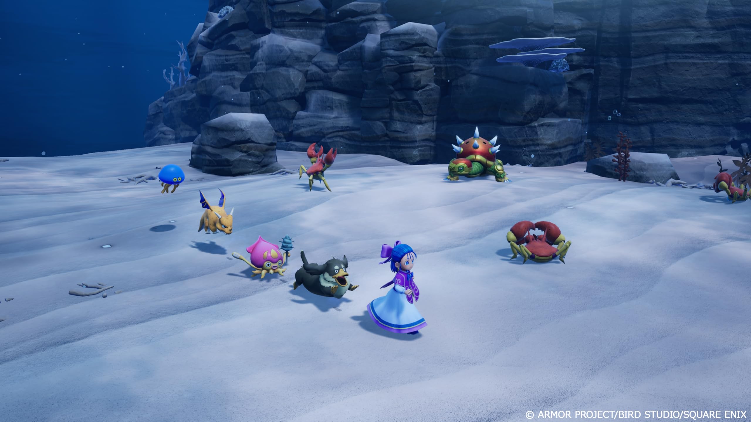square-enix-dragon-quest-monsters-switch-2-spiel-welkende-welt image 7