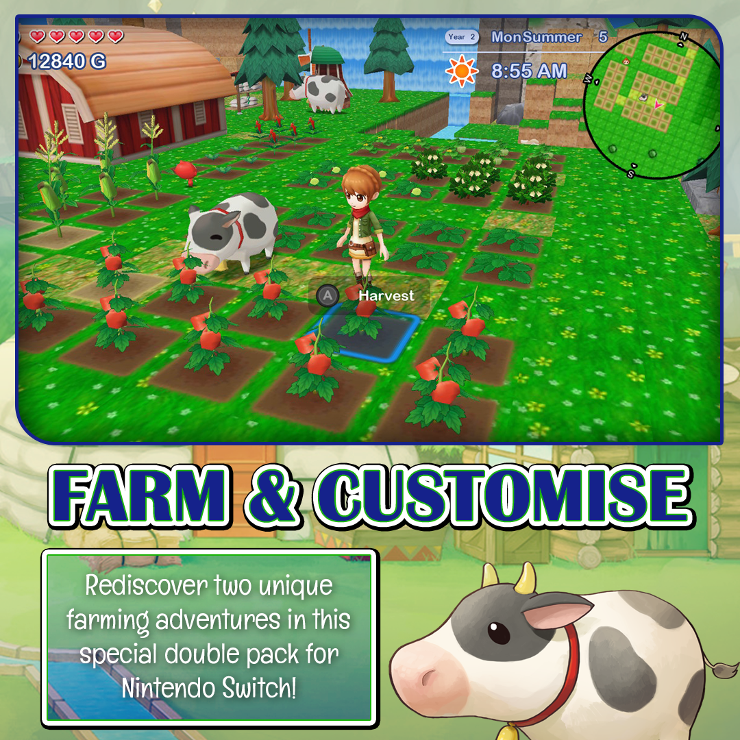 harvest-moon-lost-valley-skytree-village-switch-collectors-edition image 2